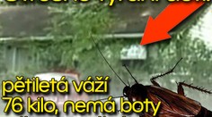 Otřesné týrání dětí: pětiletá váží 76 kilo, nemá boty a žije mezi šváby