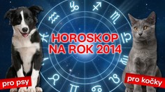 VELKÝ ZVÍŘECÍ HOROSKOP: Co čeká vaše psy a kočky v roce 2014?