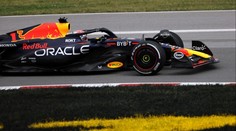 Verstappen měl štěstí. Závod vyhrál i s mrtvým ptákem ve svém voze