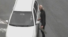 Pes otevřel blondýně zamčené auto. VIDEO