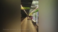 Vědci udělali šokující výzkum: Tak lidé reagují na sex na ulici! VIDEO