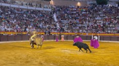 V obci na Mallorce obnovili koridu. Do hlediště smí i děti