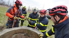 Hasiči zachránili vystrašenou fenku, spadla do hluboké šachty