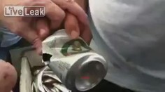 VIDEO: Ryba nebo otvírák?