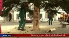 VIDEO: V Českých Budějovicích už stojí vánoční strom