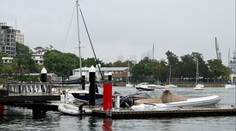 Žralok mladé ženě málem utrhl nohu, zachovala klid a doplavala na břeh