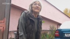 Učitelka (72) z Pacova ve sklepě pěstovala marihuanu ve velkém. Vinu hází na svého vnuka