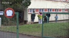 V základní škole je černý kašel. Nemoc, která může zabíjet