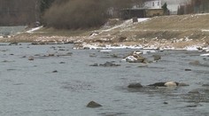 České řeky jsou bez vody, odborníci se obávají sucha