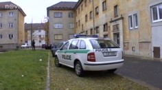 Gang dětských zlodějů tyranizuje Žďár nad Sázavou...