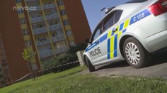 Hoch (17) podle policie okradl seniorku, hrozí mu 5 let natvrdo