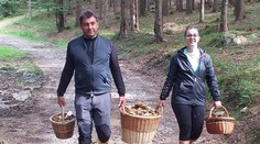 Houbové žně v Česku, hřiby rostou jako šílené! Tipy odborníka, kam zajít
