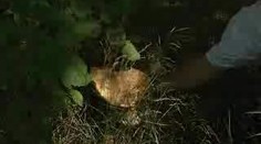 Příroda se zbláznila! Houbaři jsou ve svém živlu