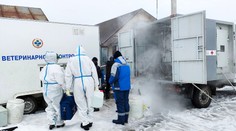V Rusku se objevila nákaza antraxem. Jedna z obcí je v karanténě