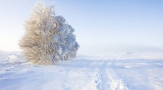 TŘESKUTÝ MRÁZ LÁMAL REKORDY! Na Jizerce -26,7 °C