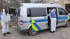 Na Písecku vyjížděli k požáru, našli dvě mrtvoly. Na místě se mělo střílet
