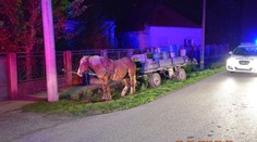 Ožralí kočí museli koně s povozem odstavit do příkopu