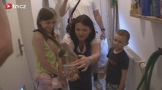 VIDEO: Noc snů proletěla kolem celého světa