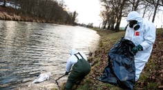 Pozor: Na jihu Čech se objevilo další ohnisko ptačí chřipky!
