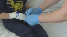 Vláda chce prosadit změny v pojišťování cizinců. Budou mít lepší výběr