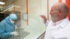 Výměna PIP implantátů bude bezplatná jen ze zdravotních důvodů