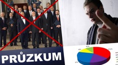VLÁDNÍ KRIZE: Češi podporují PŘEDČASNÉ VOLBY
