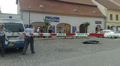 Zloděje, který dodávkou zabil jejího majitele, chytila policie