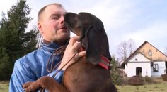 Šťastný konec! Záchranářská fenka Erka se našla