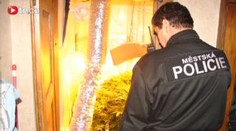 Strážníci našli pěstírnu konopí a v ní opuštěné mimino