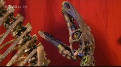 Vědci z kostí sestavili dinosaury, předchůdce ptáků