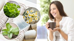 Nejlepší bylinkové čaje: Dodají vám vitamíny i vyléčí neduhy!