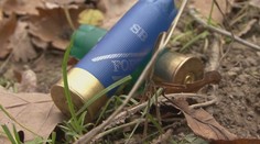 Pytláci na Náchodsku lovili z jedoucího vozu. Policistům tvrdili, že zajíce přejeli