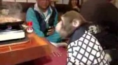 Dáte si saké? Přinesou ho chlupatí mrňaví číšníci