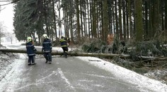 Mrazy, vichr a výpadky proudu. Česko se vzpamatovává z kalamity