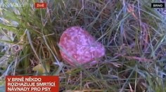 HLÍDEJTE SI PSY: Bezcitná bestie se je snaží ZABÍT v Brně