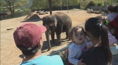 Problémová zoo doufá v návrat do evropské asociace. Rozhodnutí padne v září