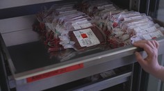 Na začátku prázdnin chybí krev. Nemocnice i transfuzní stanice volají dárce