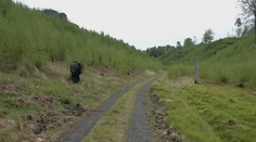Požár v Českém Švýcarsku: Krajina by se měla zotavit ještě letos
