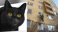 Kočka se zasekla v otevřené ventilaci. Vysvobodili ji hasiči