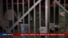 VIDEO: Agresivní vetřelec na zámku v Lánech: při setkání s ochrankou zkolaboval a zemřel