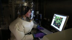Rozšířil se smrtící virus podobný ebole. Lékaři nemají lék