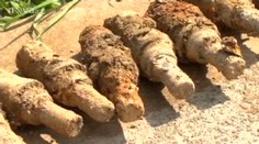 Ve Zlíně našli granáty a miny ze druhé světové