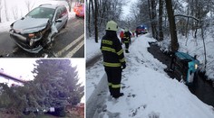 Silný vítr lámal stromy a trhal střechy! Bez proudu jsou tisíce lidí