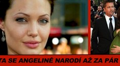 Dvojčata se Angelině narodí až za pár týdnů, říká lékař