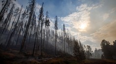 Hašení v Českém Švýcarsku komplikuje kouř. Šíření se podařilo zastavit, řekl šéf hasičů