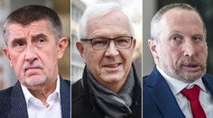 Takhle by měl vypadat další český prezident, mají jasno Češi