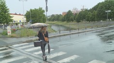 Zahrádkáři a lesníci volali po dešti. Přání se splnilo, Českem se prohnaly srážky