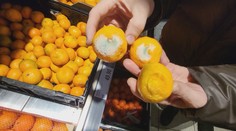 Katastrofální nákup v Jablonci. Citróny plné plísně, do cibulí se bořily prsty