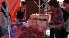 Farmářská tržiště v Praze: živé ryby a české jahody