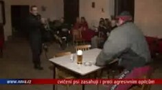 VIDEO: Cvičení psi zasahují i proti agresivním opilcům